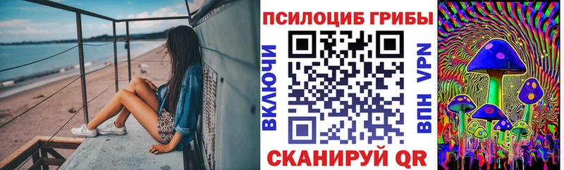 где продают   Ухта  Псилоцибиновые грибы GOLDEN TEACHER 